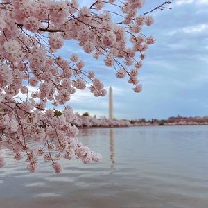 Meet your Posher, Jaden